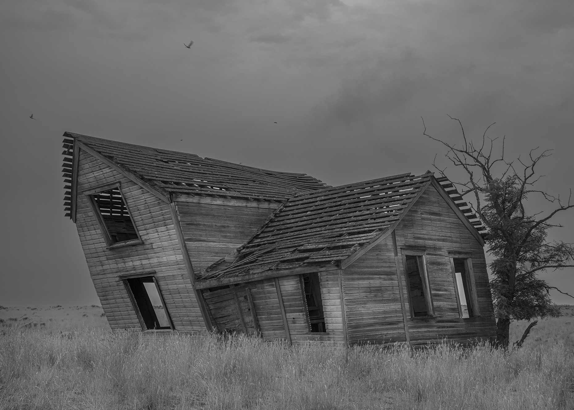 0L4A2194website-forBWPage