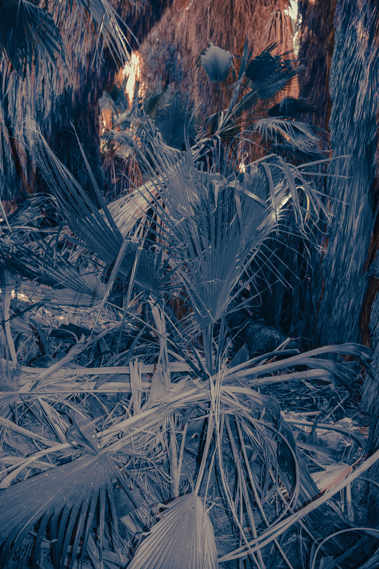 0L4A4092-ARTIFACT-website